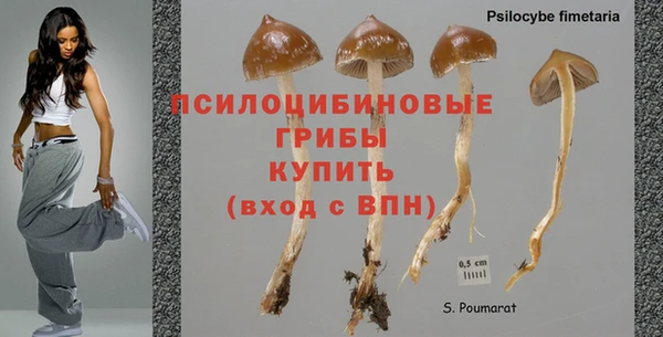ECSTASY Белокуриха