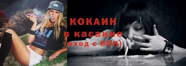 ECSTASY Белокуриха